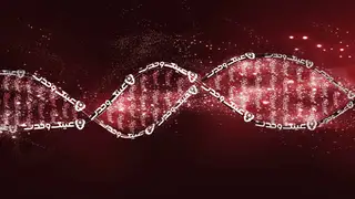 DNA عینک وحدت - برند پرسول